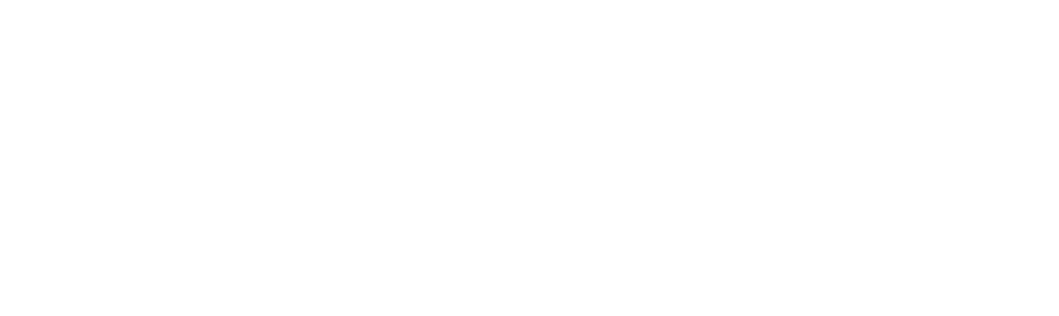 SEO PY Logo